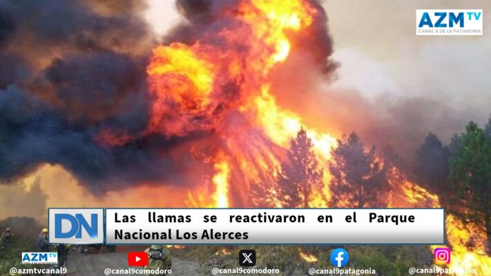 Incendio Forestal, Los alerces
