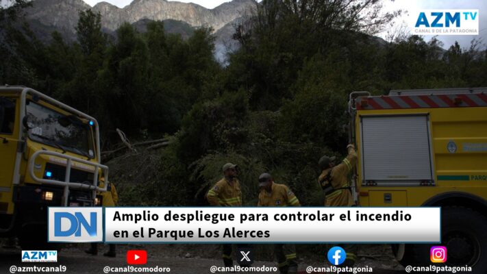 incendio, Los alerces