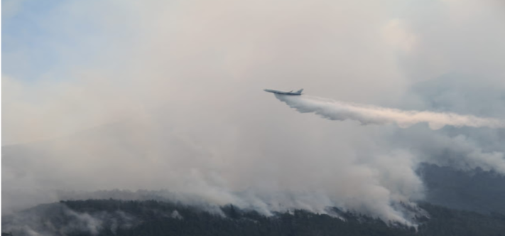 incendio, lllego avion hidrante