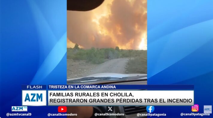 Los alerces