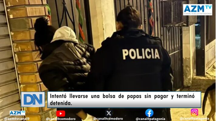 Intentó llevarse una bolsa de papas sin pagar y terminó detenida