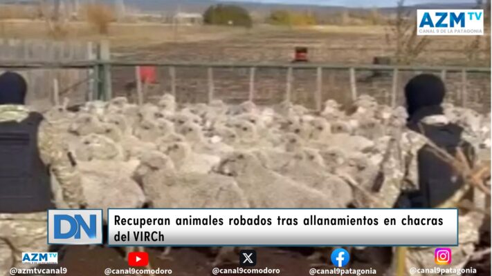 Recuperan animales robados tras allanamientos en chacras del VIRCh