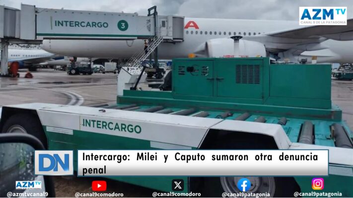 Caputo, Intercargo, milei