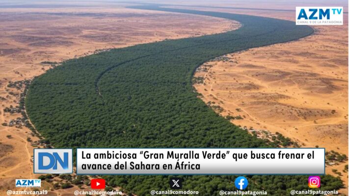 La ambiciosa “Gran Muralla Verde” que busca frenar el avance del Sahara en África