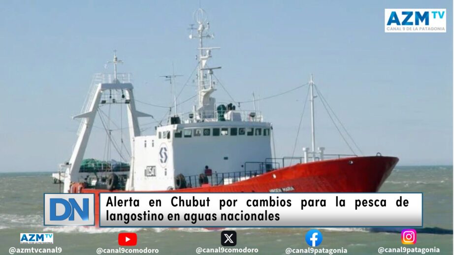Chubut, langostino, pesca