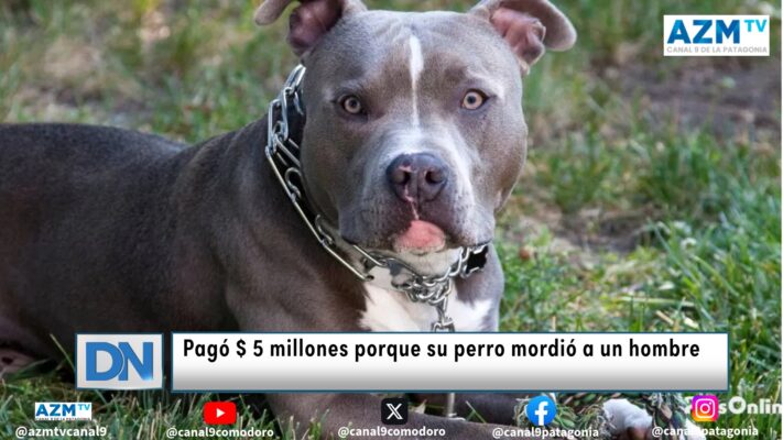 Pagó $ 5 millones porque su perro mordió a un hombre