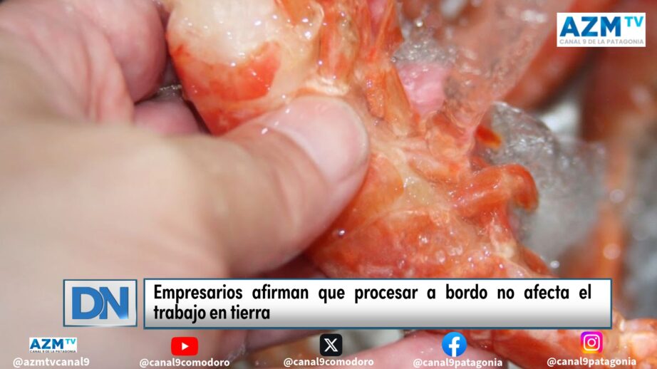Empresarios afirman que procesar a bordo no afecta el trabajo en tierra
