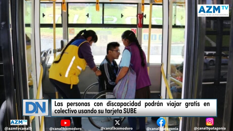 discapacidad, SUBE