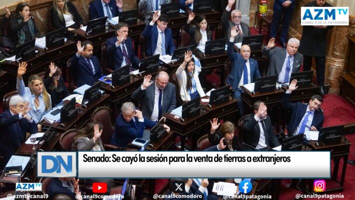 Senado: Se cayó la sesión para la venta de tierras a extranjeros