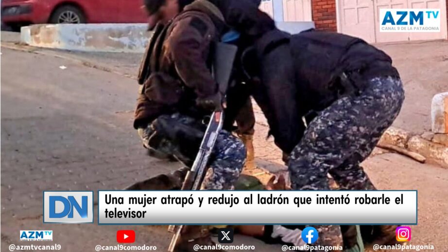 Una mujer atrapó y redujo al ladrón que intentó robarle el televisor