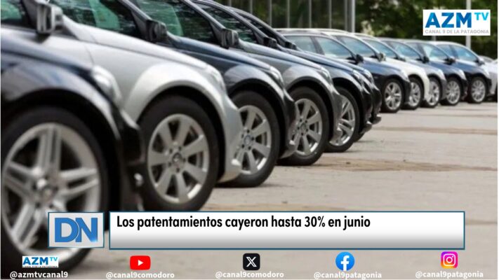 Los patentamientos cayeron hasta 30% en junio