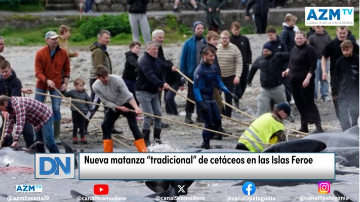 Nueva matanza “tradicional” de cetáceos en las Islas Feroe