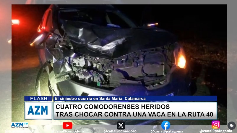 Cuatro comodorenses heridos tras chocar contra una vaca en la ruta 40