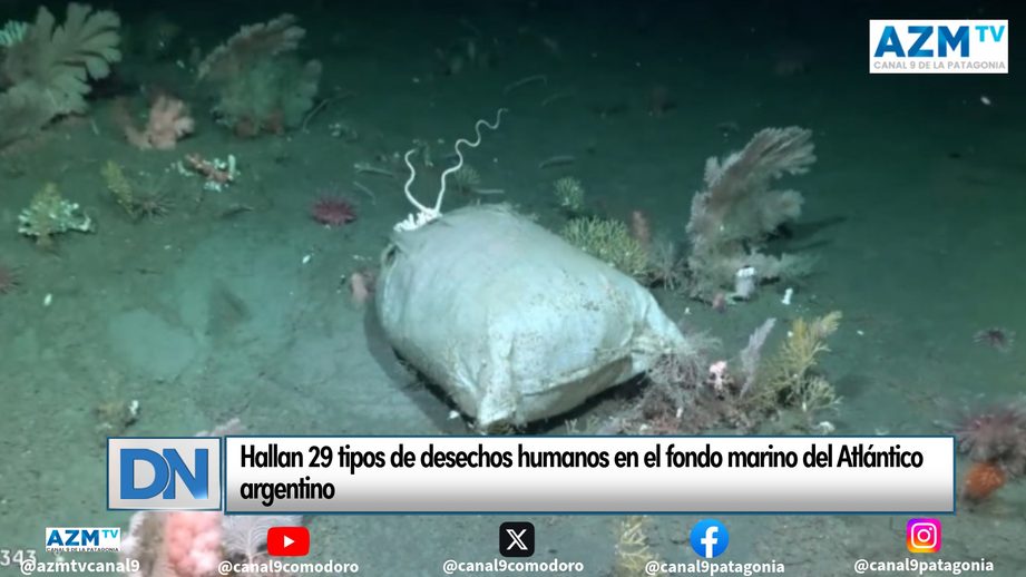 Hallan 29 tipos de desechos humanos en el fondo marino del Atlántico argentino