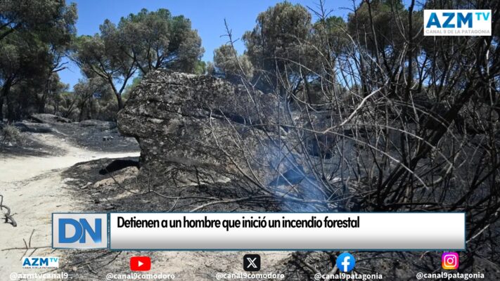 Detienen a un hombre que inició un incendio forestal