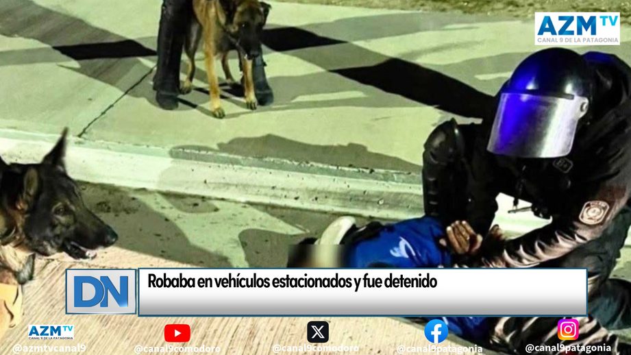 Robaba en vehículos estacionados y fue detenido
