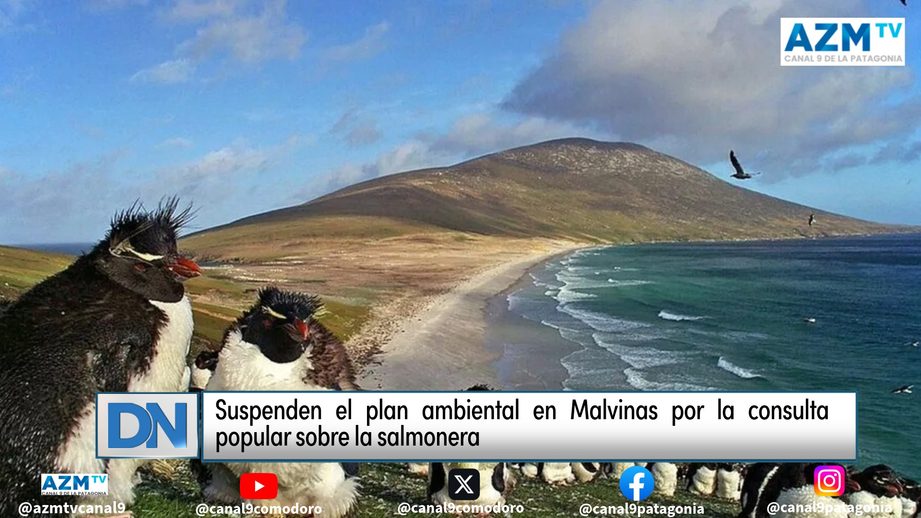 #malvinas, #salmonera