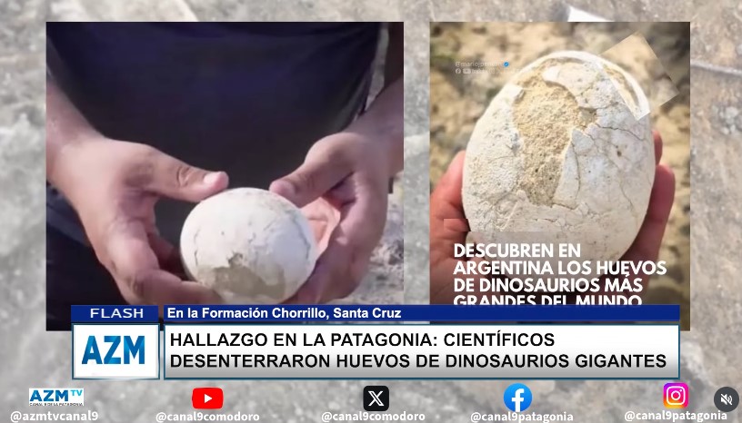 Hallazgo en la Patagonia: científicos desenterraron huevos de dinosaurios gigantes