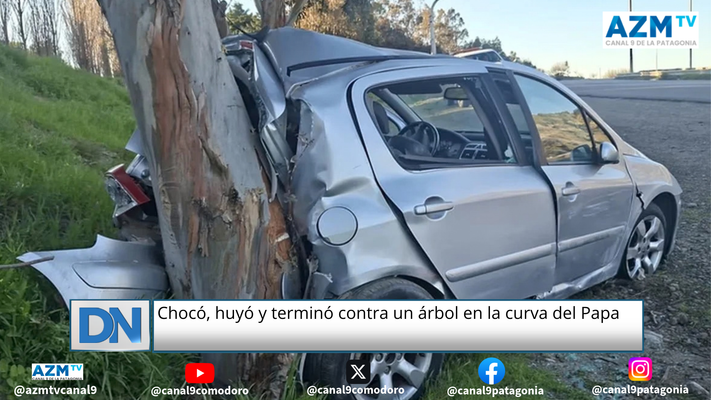 Chocó, huyó y terminó contra un árbol en la curva del Papa