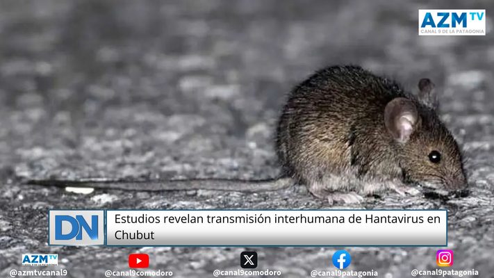 Estudios revelan transmisión interhumana de Hantavirus en Chubut
