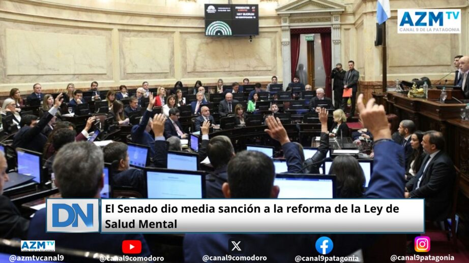 El Senado dio media sanción a la reforma de la Ley de Salud Mental