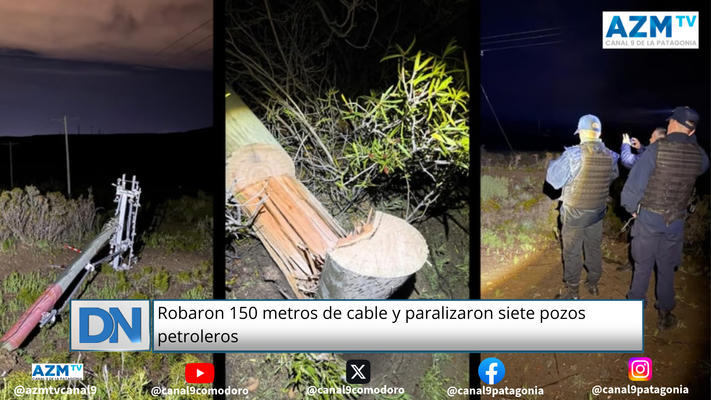 Robaron 150 metros de cable y paralizaron siete pozos petroleros